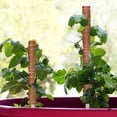 thumbnail image 4 of Porta plantas Monstera para plantas trepadoras de interior con tallos de musgo, 2 piezas, 4 of 5