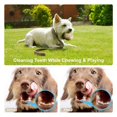 thumbnail image 4 of Juego de juguetes para masticar para perros de 4 piezas para perros pequeños/perros medianos, juguetes para cachorros para el cuidado dental de perros, hechos de algodón natural (blanco) JFHHH pequeña, 4 of 5