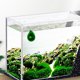 thumbnail image 1 of unbranded Termómetro Para De Peces Con Material Duradero Y Pantalla Visible, 1 of 8