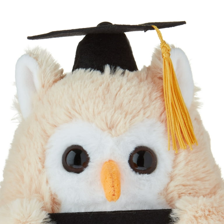 Graduation Small Brown Class of 2025 Owl Plush with Gift Card Holder, 9", by Way To Celebrate