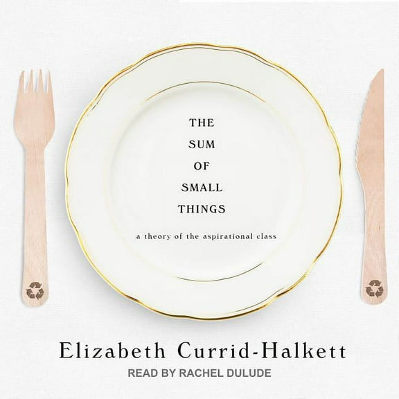 The Sum of Small Things (Audiobook)