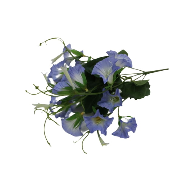 Advancent Flor falsa Plantas de plástico Colgante de pared Artesanía Decoraciones al aire libre Morning Glory Flores artificiales Tamaño compacto Flores artificiales Azul claro Advancent HA070581-02
