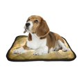 thumbnail image 2 of ABPHQTO Cross Against The Sky Pet Dog Cat Bed Pee Pads Mat Cushion Potty Dogs Blankets Crate Bed Kennel 36x48 inch, 2 of 4