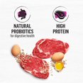 thumbnail image 4 of Beyond Simply Farm-Raised Beef, Barley & Free Run Egg Recipe, Dry Dog Food 1.67KG, 4 of 9
