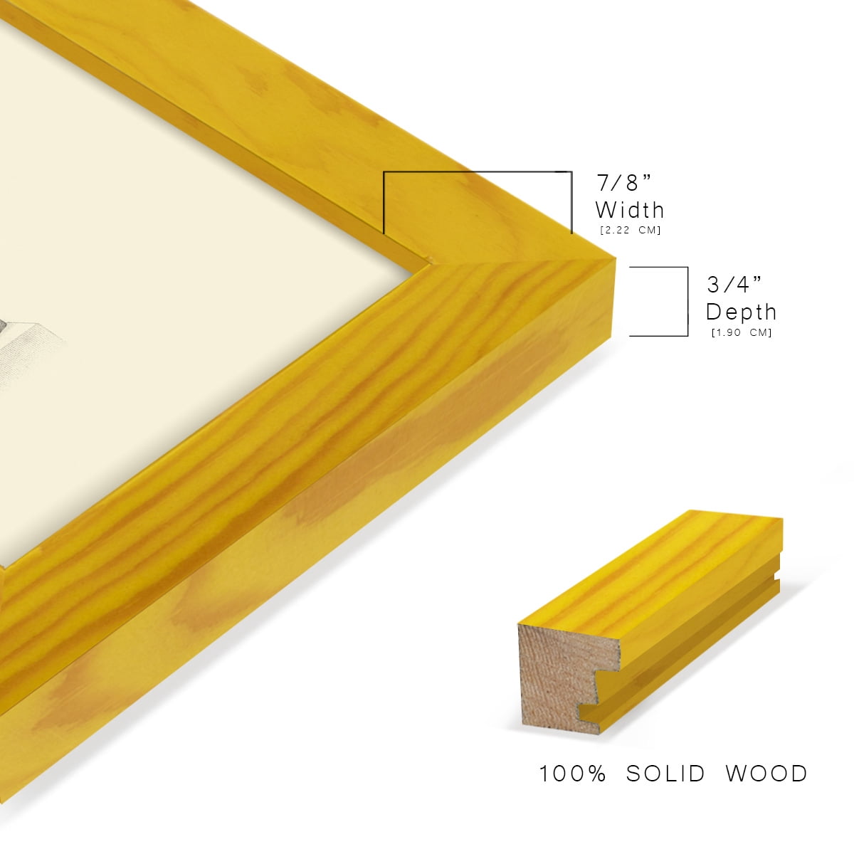 Classical Statuary II -Framed Print w/glass-Sunflower Yellow