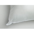 thumbnail image 2 of 20x10 or 10x20 | Indoor Outdoor Hypoallergenic Polyester Pillow Economical Insert, 2 of 6