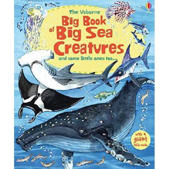 Pre-Owned The Usborne Big Book of Sea Creatures by Minna Lacey (Paperback), Textbooks, English