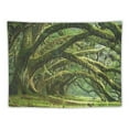 thumbnail image 5 of Nawypu Enchanted Jungle Forest Tapestries Wall Hanging Fairy Tale Wonderland Trees Nature Scenery Tapestry for Bedroom Aesthetic Home Dorm Greenery Backdrop, 5 of 6