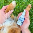 thumbnail image 5 of Vetericyn Wound & Skin Care Spray 8 oz for Animals Hot Spots Rashes Skin Care 2 Pack, 5 of 6