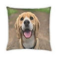 thumbnail image 2 of Ahgly Company Dogs Beagle Outdoor Throw Pillow, 18 inch by 18 inch, 2 of 6