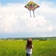thumbnail image 4 of Cometa Infantil, Cometa De Mariposa De Forma única Fácil De Volar Para Diversión Familiar Para Actividades Al Aire, 4 of 7