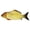 C, variant on YIFAEUX Flopping Fish Cat Toy with Catnip Interactive Automatic Floppy Carp Kitten Kicker Toy Electric Realistic Plush Wiggle Fish for Indoor Cats Dogs