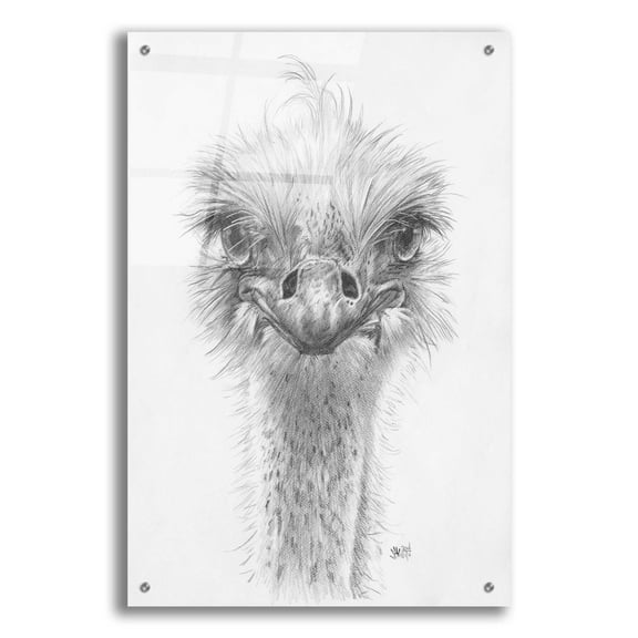Epic Art 'Ozzy' by Barbara Keith, Acrylic Glass Wall Art, 24"x36"