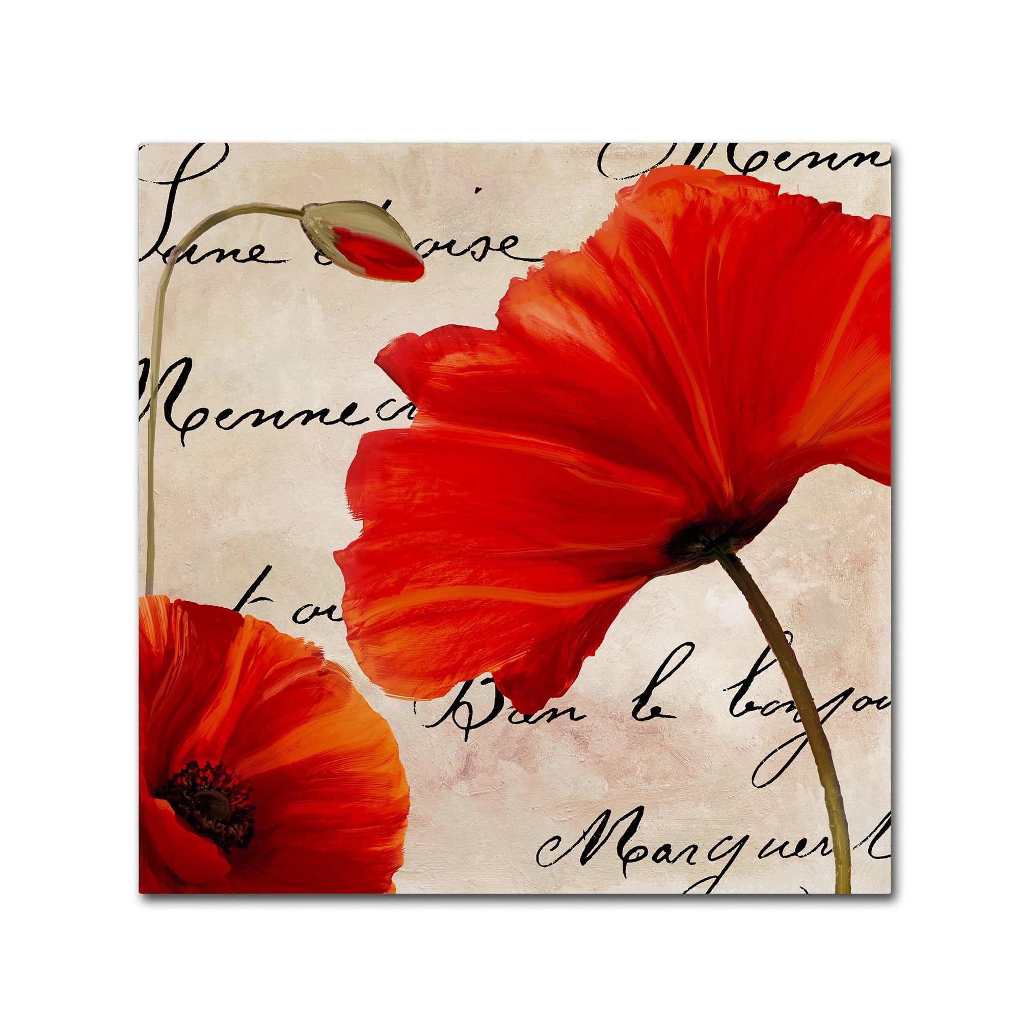 Trademark Fine Art "Coquelicots Rouge II" Canvas Art by Color Bakery