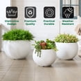 thumbnail image 7 of 15.8" D x 10.9" H Fiberstone Sphere Planter, White, 11.8" Pot Opening, Ball Shape Flower Pot with Drainage Hole, Weather Resistance Indoor Outdoor Use, 7 of 7