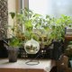 thumbnail image 4 of Raindrops 2Ud Soporte De Colgar Para Macetas Soporte Ornamental Negro Robusto Y Estable, 4 of 8