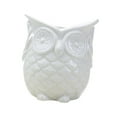thumbnail image 5 of figatia Flowerpot Indoor Plant Pot Owl Shape Cute Japanese Planter Container for Indoor Decoration Office Home Balcony No listen White, 5 of 8