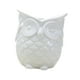 thumbnail image 5 of Maceta con forma de búho, bonita maceta de cerámica decorativa, maceta de búho para No escuches blanco, 5 of 9