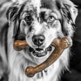 thumbnail image 2 of Juguete para masticar Pet Qwerks Wishbone BarkBone de nailon para masticadores agresivos, 2 of 7
