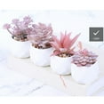 thumbnail image 5 of Succulent Artificial Plants,Faux Succulents in Pots,Small Fake Pink Plants for Office,Table,Desk,Bathroom,Bedroom,Aesthetic Room Shelves Decor,Cute Fake Succulents in 4 White Ceramic Pots, 5 of 7