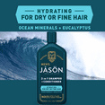thumbnail image 4 of JASON Men's 2-in-1 Hydrating Ocean Minerals & Eucalyptus Shampoo & Conditioner, 12 fl. oz., 4 of 6