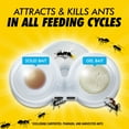 thumbnail image 4 of (8 pack) Combat Max 2 in 1 Ant Bait Station, 4 Count, 4 of 10
