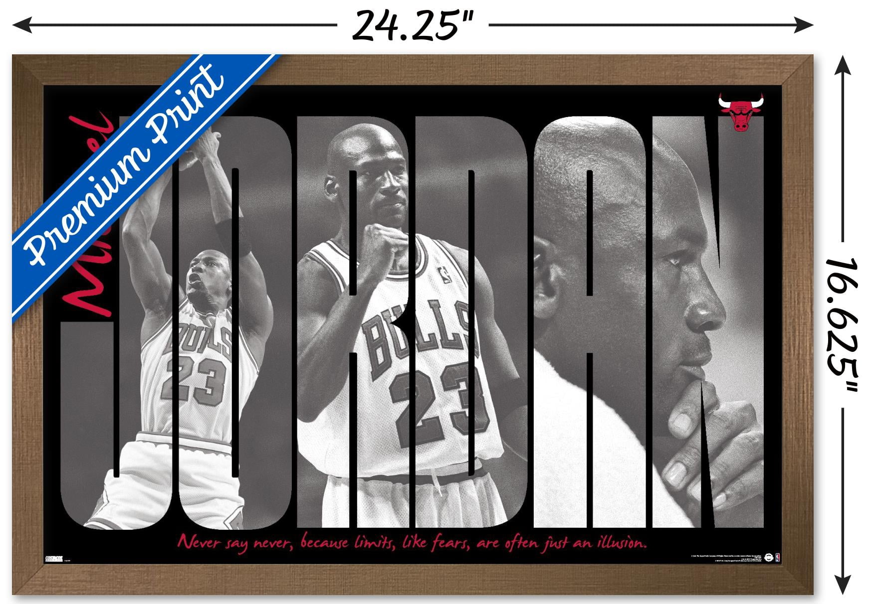 Michael Jordan - Never Say Never Wall Poster, 14.725" x 22.375" Framed
