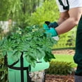 thumbnail image 4 of CreativeArrowy Planter Pot Potato Bag 7/10 Gallon Brown Gardening Supplies Durable Non - Woven Fabric Green Garden Boxes, 4 of 14