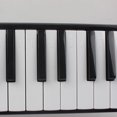 thumbnail image 2 of Accesorios para Instrumentos Musicales Eigraketly Melodica 32 Teclas Negro YQ0407-01B, 2 of 6