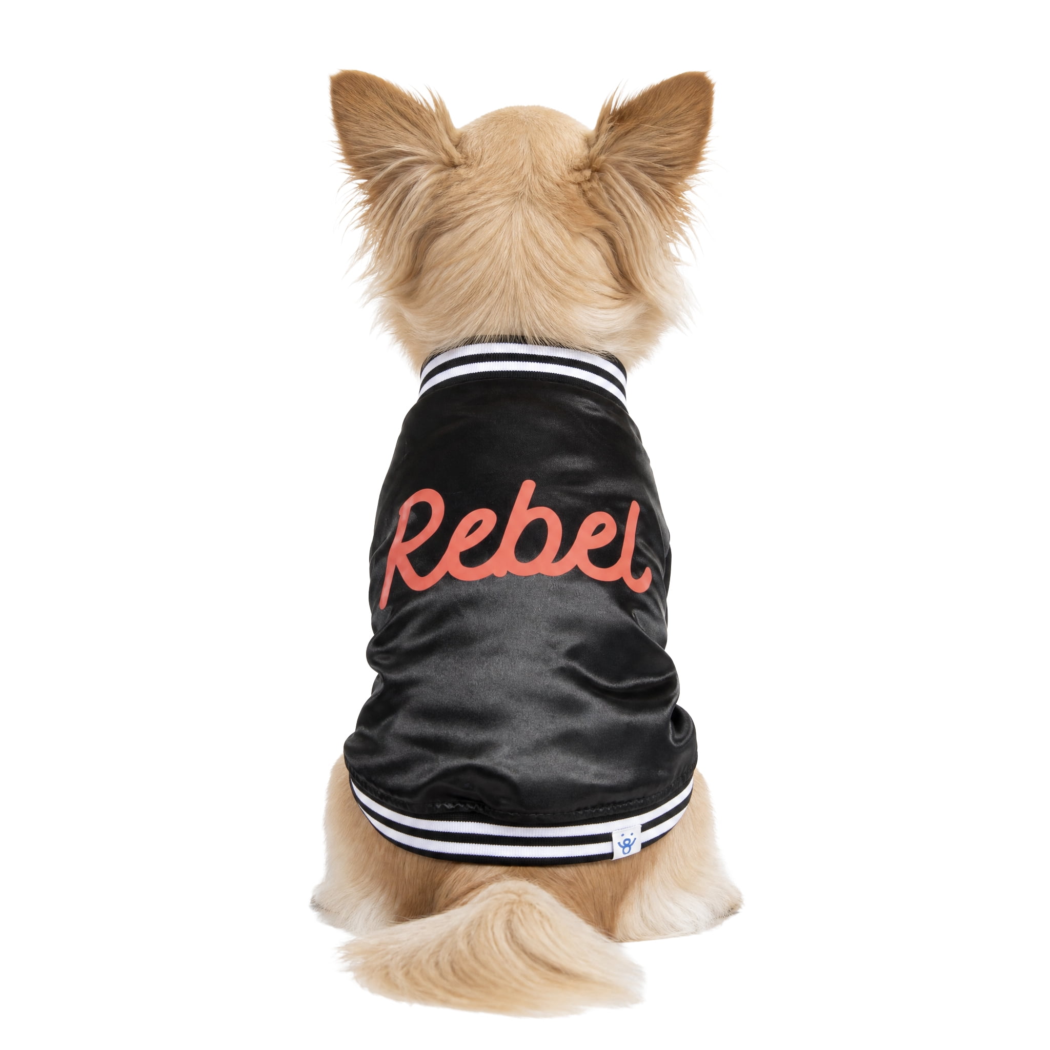 Oodles Rebel Fall Dog Jacket, Black, XS