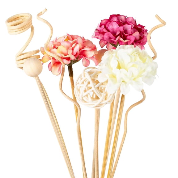 10-Piece Natural Rattan Reed Diffuser Sticks, Assorted Floral and Spiral Shapes