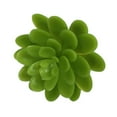 thumbnail image 4 of Sensethe 3 Fake Succulent Twig Plants for Home Decor, 4 of 6
