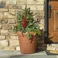 thumbnail image 3 of Step2 Claremont 2pk Plastic Terracotta Round Planter 15" W x 15" D x 28" H, 3 of 25