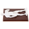 thumbnail image 4 of 1Set Brown Plastic Wall Switch Cover Decorative Wall Plate for School and Restaurant Use, 4 of 9