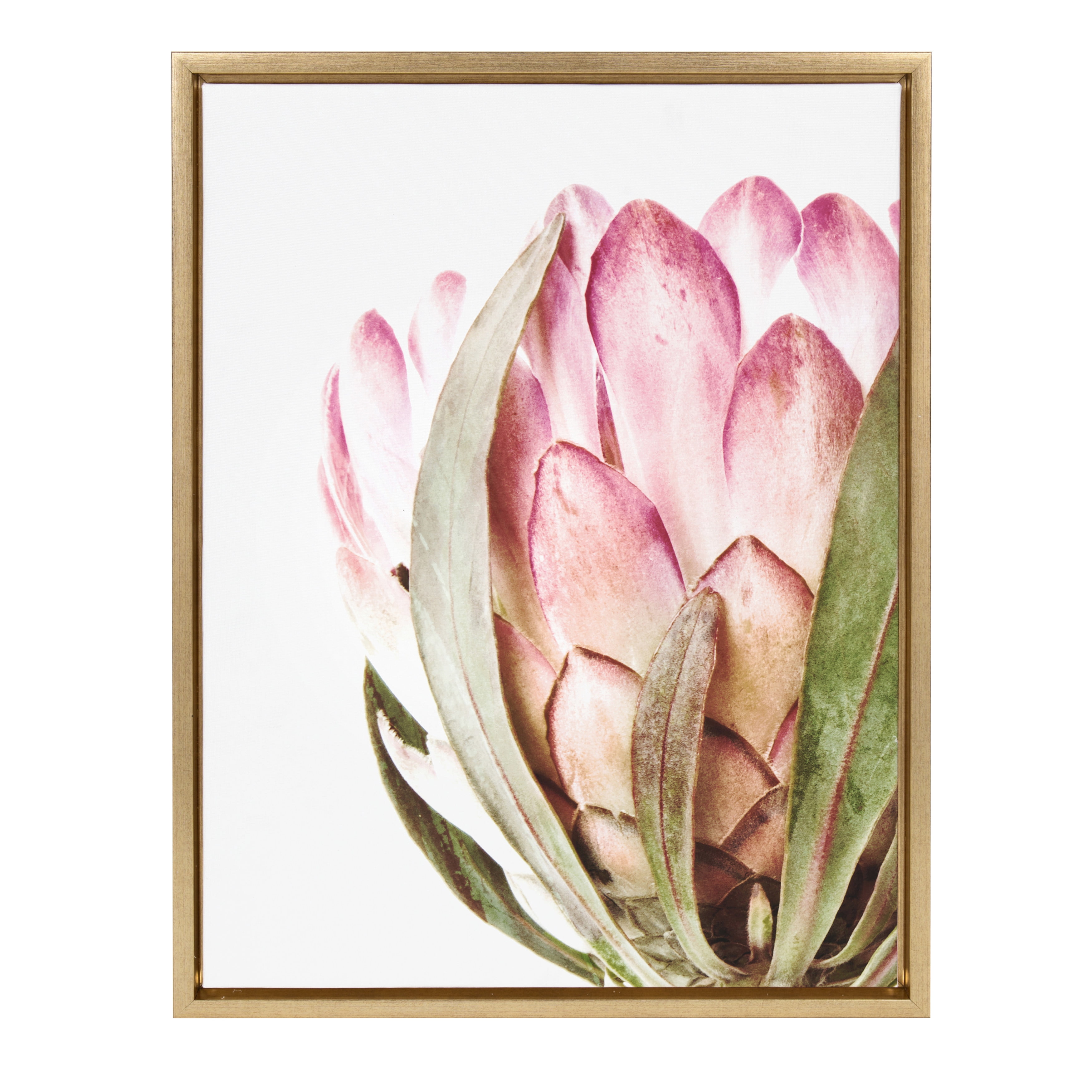 Kate And Laurel Sylvie Pink Protea Flower Framed Canvas Wall Art By Amy Peterson 18x24 Gold Walmart Com Walmart Com