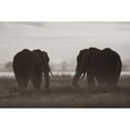 thumbnail image 3 of Fitzharris, Tim 14x11 Black Modern Framed Museum Art Print Titled - African Elephants at sunrise-Amboseli National Reserve-Kenya Sepia, 3 of 5