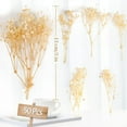 thumbnail image 2 of 50 Pcs Dried Babys Breath Flowers Bouquet 5 inch Mini Dried Gypsophila Branches Dry Flowers Bouquet for Crafts Press Flowers Wedding Wreath Flower Wreaths Card Making DIY,Beige, 2 of 9