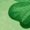 Green, variant on EnJoCho Kids St Patric𝗄s Day 3/4 Sleeve Green T Shirt Girls Funny Shamroc𝗄 Graphic Tees Holiday Irish 𝖢lover Luck𝗒 Short Sleeve Tops 3-13 Years