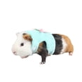 thumbnail image 4 of s Small Animal Harness Leash Hamster Rabbit Ferret Squirrel Clothes, 4 of 8