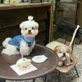 thumbnail image 2 of Adorable Pet Clothes for Cats & Small Dogs - Charming Spring & Autumn Wear, 2 of 3