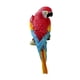thumbnail image 4 of Estatua de pájaro en miniatura creativa para decoración de loros en el jardín o en el interior. Rojo, 4 of 8