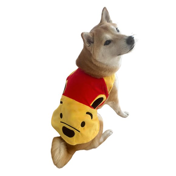 Capa de disfraz para perros y gatos ComfyCamper Yellow Bear