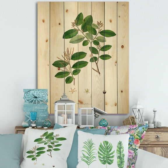 Designart 'Ancient Plant Life XIX' Farmhouse Print on Natural Pine Wood