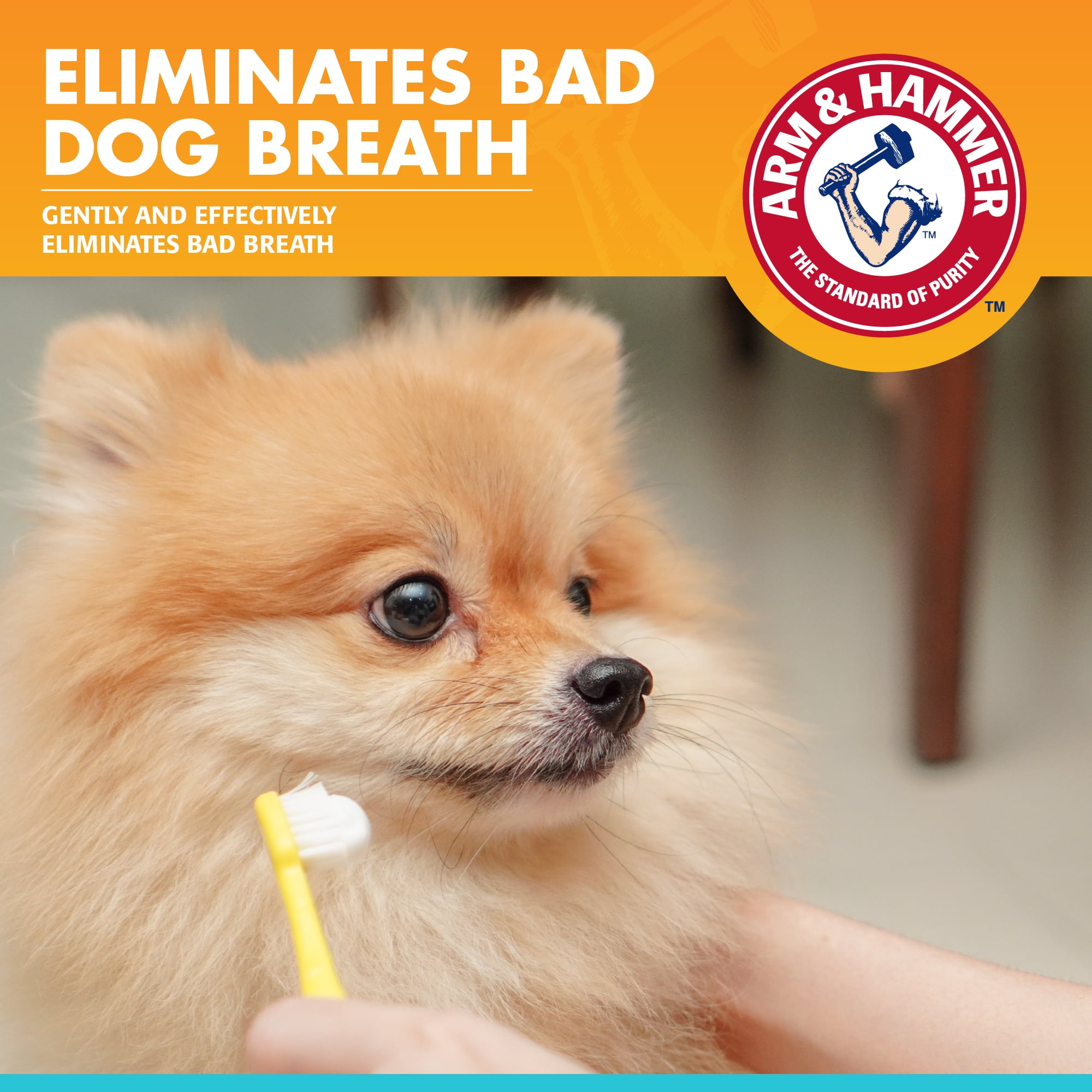 Arm & Hammer for Pets Dental Fresh Breath Enzymatic Toothpaste for Dogs and Puppies Chicken Flavor 2.5 oz