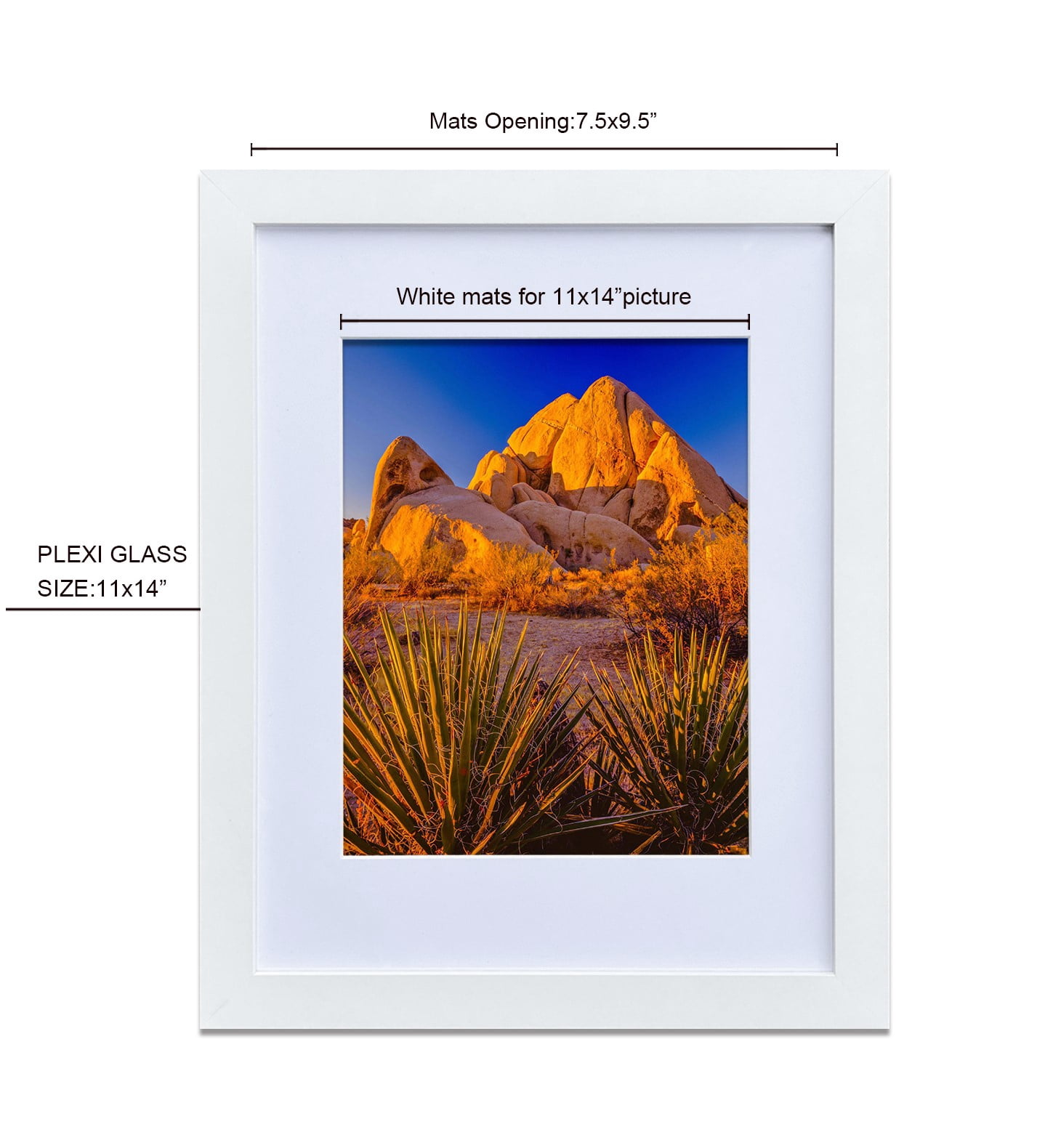 11x14" Wall Mount & Tabletop Display, Pack of 4