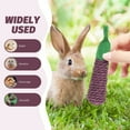 thumbnail image 6 of 6Pcs  Chinchilla Chewing Props Rabbit Nibbling Toy Rat Chew Toy Hamster Molar Plaything, 6 of 6