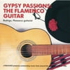 Gypsy Passions: The Flamenco Guitar