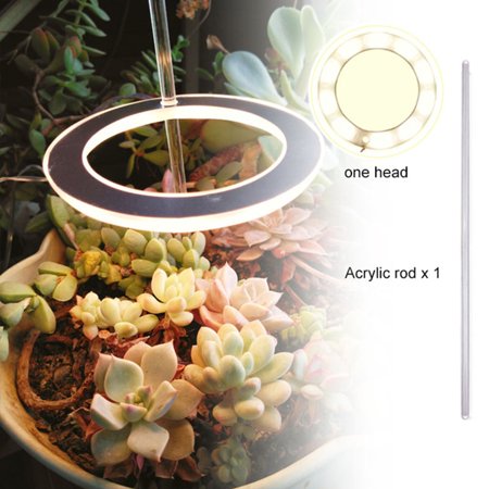 Round Full Spectrum LED Grow Light USB Plant Lights Phyto Grow Lamp Warm/White Light for Indoor Succulent Plants Growth
