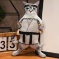thumbnail image 1 of 3D Cat Plush Toy Stuffed Animal Transformable Doctor Gentleman Cowboy Multiple Styles, 1 of 7