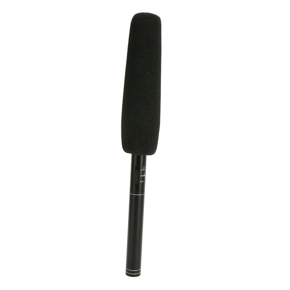 Condenser Microphone, 2 Adjustment Modes Professional Cardioid Directivity Interview Condenser Microphone For Program Interviews For News Interviews